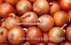 Golden Sweet Natural Fresh Onion Contains Pantothenic Acid ( B5 ) , Water