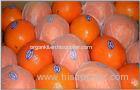 red navel orange sweet navel orange