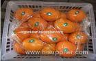 Organic Sweet Juicy Round Fresh Navel Orange / Ponkan Orange With High Energy