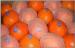 Citrus Sinensis Healthy Red Fresh Navel Orange Hybrid , Ruby Blood Orange