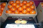 High Carotene Golden Sour Fresh Navel Orange Juicy For Children / Kids