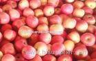 Fresh Fruit , Rich Nutritions Organic Fuji Apple For Human Health