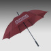 Promotional Automatic Open Straight Umbrellas Double Ribs 210T Pongee Fabric Professional Gifts