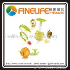 Hot selling Fruit Essentials