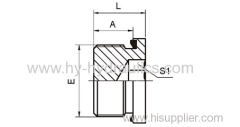 BSP male captive seal hollow hex Plugs