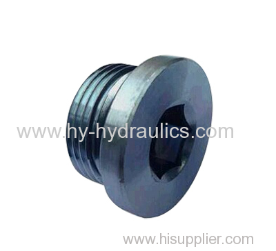 BSP male captive seal hollow hex Plugs