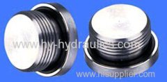 BSP male captive seal hollow hex Plugs