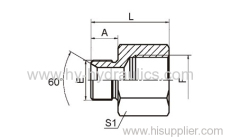 BSP male double use for 60° cone seat or bonded seal/ BSP female ISO 1179 Fittings 5B