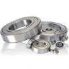 Stainless Steel Deep Groove Ball Bearing (SS6204 2RS)