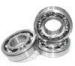 Stainless Steel Deep Groove Ball Bearing 6000 Series (SS6204ZZ)