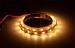 Waterproof IP65 Flexible LED Strip Light