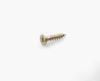 Wood furniture phillips head screw , self tapping sheet metal screws