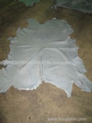 wet and dry Salted Animal Hides/Skin