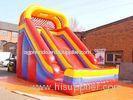 Dolphin Kids Inflatable Slides