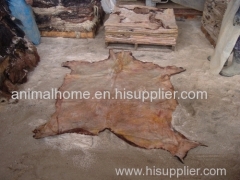 Raw Animal Skins / Salted Cow Head Skins