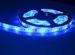 150Leds / Roll IP65 Epistar led lighting strips Blue Natural white led strip light