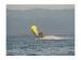 2014 Inflatable Flying Fish Towable Tubes for Outdoor Acctivity