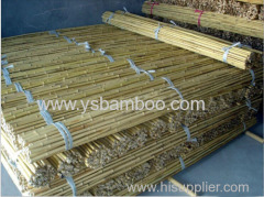 Bamboo stakes for tomatoes