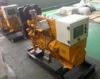 50Hz 4 Stroke Water Cooled Natural Gas Backup Generator, Natural Gas Engine