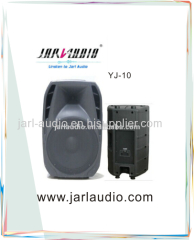 10" Mini Portable Passive Speaker