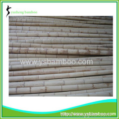 Moso bamboo poles cheap