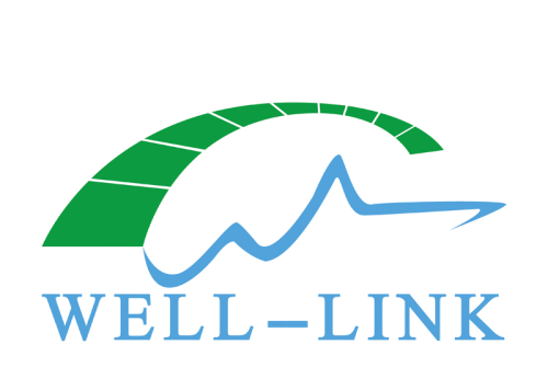 Xiamen Well-Link Corporation Limited