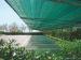 green house shade cloth vegetable garden netting