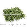 Decoration Artificial Buxus Square Plants Artificial Hedge Panels