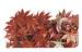 Maple Red Or Green Artificial Hedge Fence For Outside With Frost Resistant