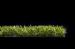 Beautiful Turf Garden Artificial Grass , Polyethylene Synthetic Lawn Grass