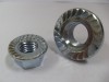 hexagon nuts with flange