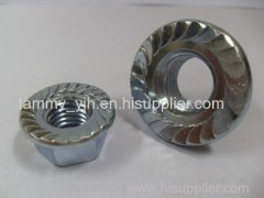 hexagon nuts with flange