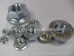 hexagon nuts with flange