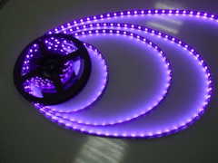 Waterproof UV LED light strips 12V 5050 SMD