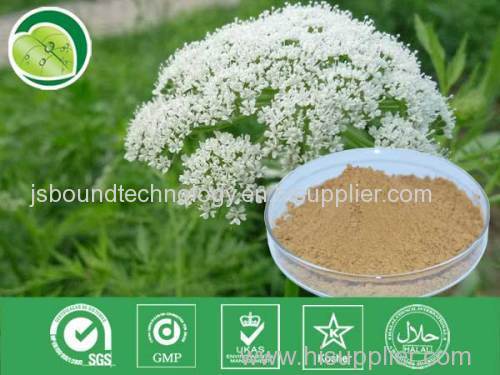 Cnidium Fruit P.E. extract powder