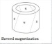 Sintered NdFeB Radial oriented ring