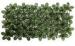 UV Resistant Artificial Hedge Fence Outdoor / Polyester Pittosporum Leaves