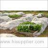 Anti Dampness Polypropylene Plant Cover / Non Woven Fabric For Protecting Plant