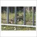 PVC Coated Iron Wire Mesh , White Fence For Preventing From Animals