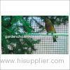 PVC Coated Iron Wire Mesh Garden Fence Or Animal Cage , Bird Wire Mesh