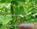 Customized Cucumber Net / PE Material Plant Support Net