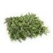 Decoration Artificial Boxwood Hedge Panels