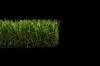 Natural HDPE Outdoor Fake Grass Carpet