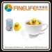 food grade plastic and stainless steel mesh Floating duck mesh tea infuser