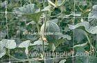 Hdpe UV Resistant Climbing Plant Support Netting , 17 x 15cm Mesh