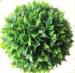 Plastic Topiary Preserved Boxwood Balls