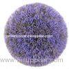 Purple Artificial Boxwood Balls Topiary