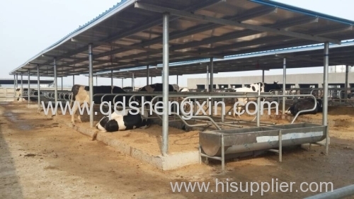 Cattle Farm Cattle Free Stall