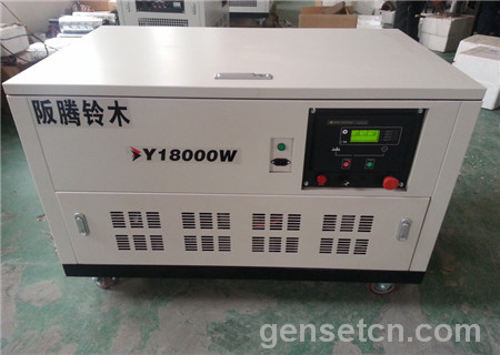 20kw Gasoline Generator Set