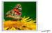 Ultrathin Acrylic Crystal Led Backlit Light Box , A3 Advertising Panel Outdoor
